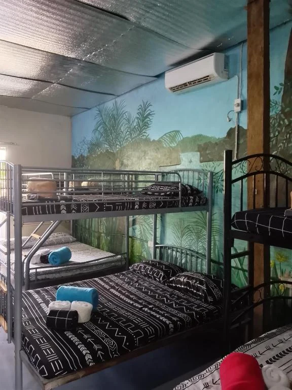 Bunk beds beneath air conditioning and tropical wall art — Family Room