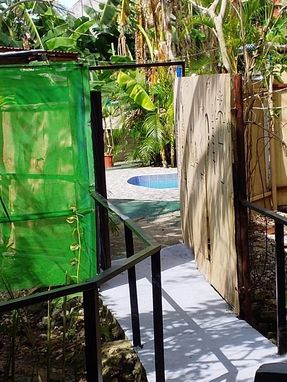 Steps towards the garden and pool — Family Room